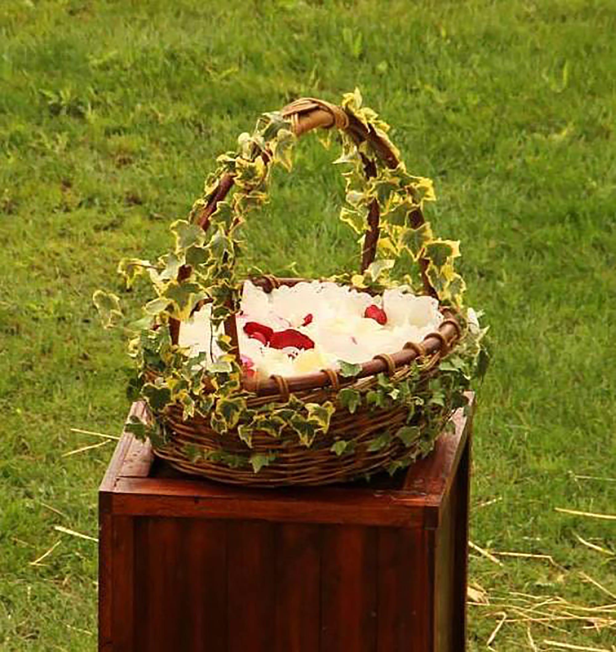 PORMENORES FLORAIS