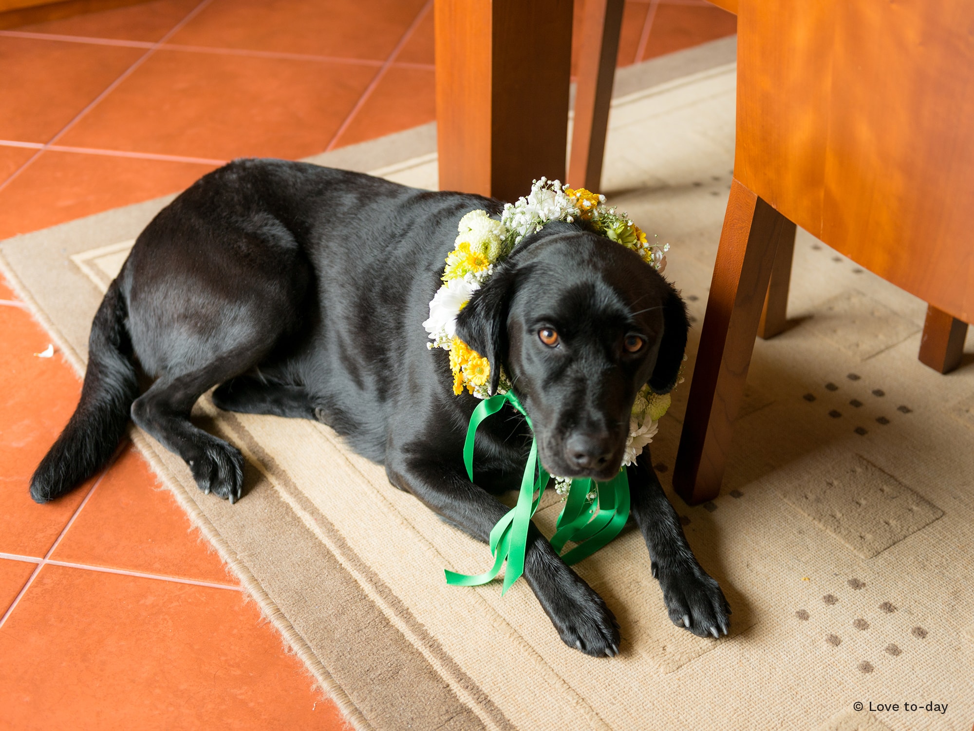 PORMENORES FLORAIS